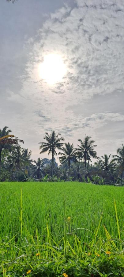 Galang Hari Villa Ubud  Exterior photo