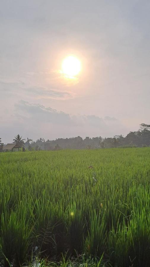 Galang Hari Villa Ubud  Exterior photo