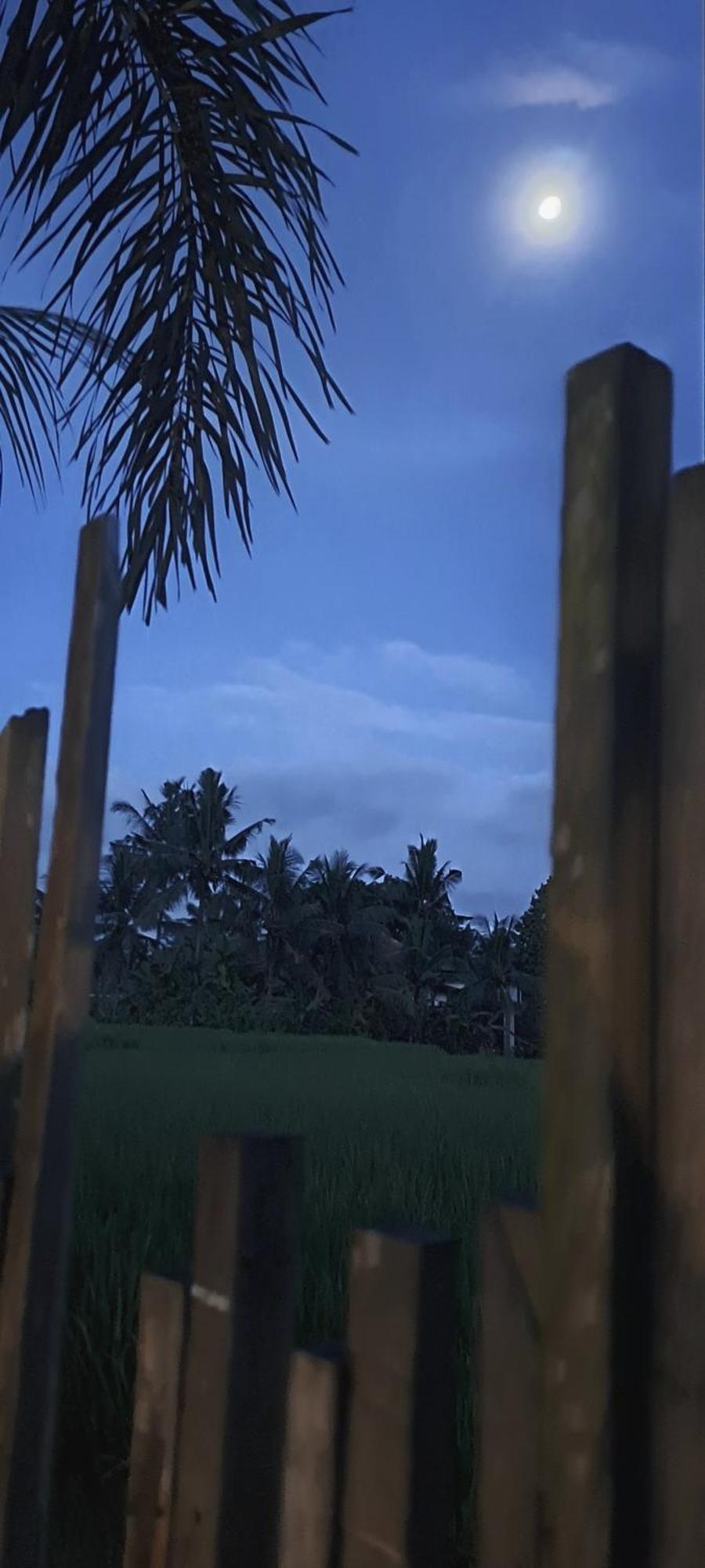 Galang Hari Villa Ubud  Exterior photo